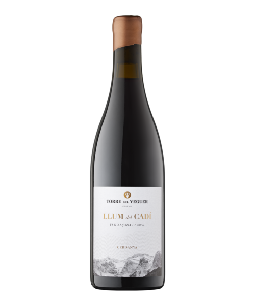 LLUM DEL CADÍ NEGRE