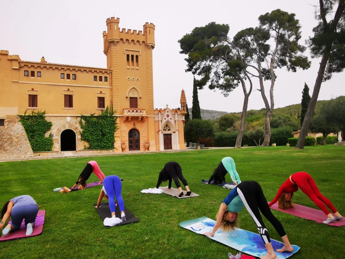 Yoga & wine - Imatge 4
