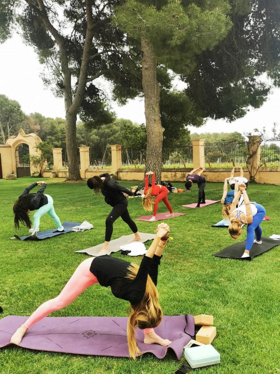 Yoga & wine - Imatge 5