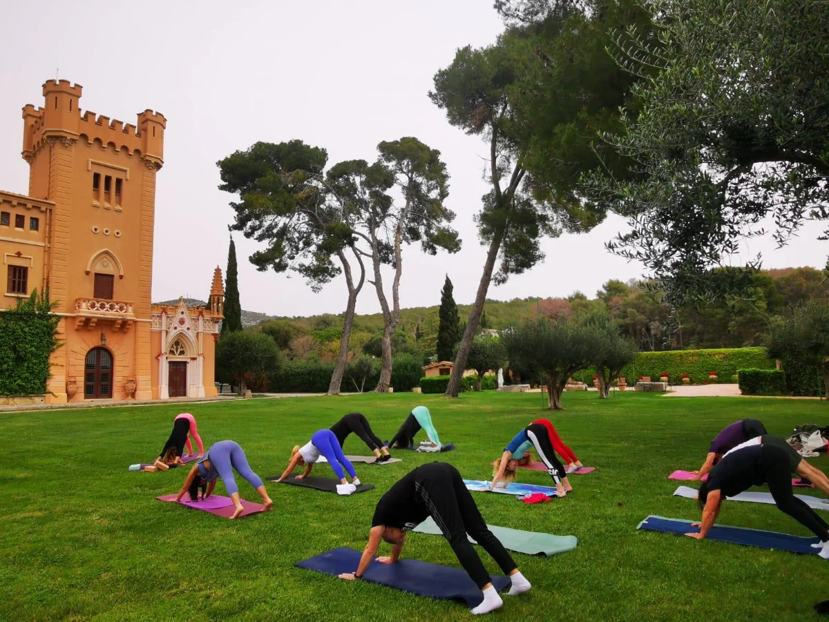 Yoga & wine - Imatge 13