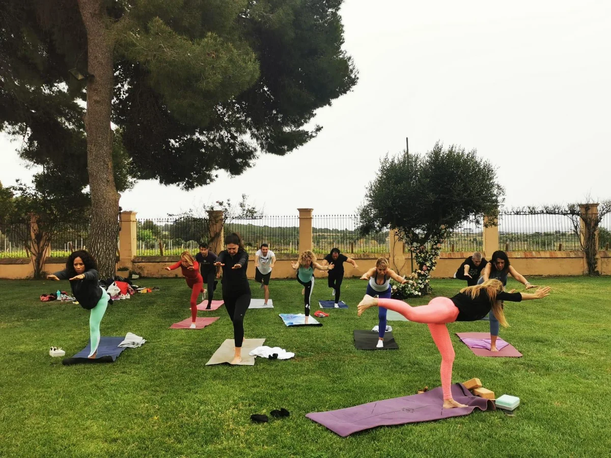 Yoga & wine - Imatge 14